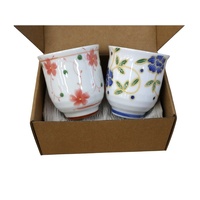 Tea Cup Pair Set Blue&Pink Flower