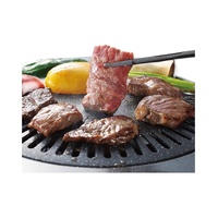 BBQ Grill 33cm